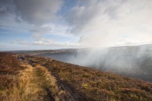 ponden moor 14 sm.jpg